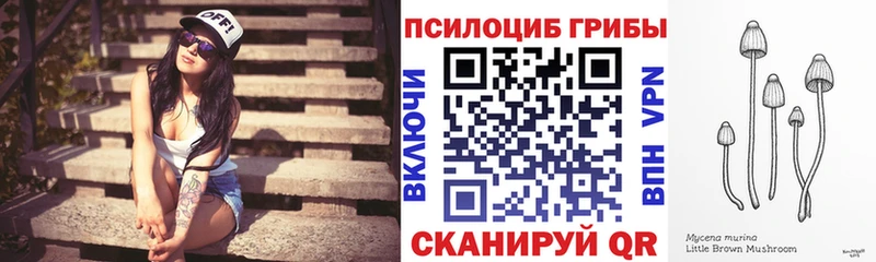 omg зеркало  дарк нет клад  Рыльск  Псилоцибиновые грибы прущие грибы  где найти  